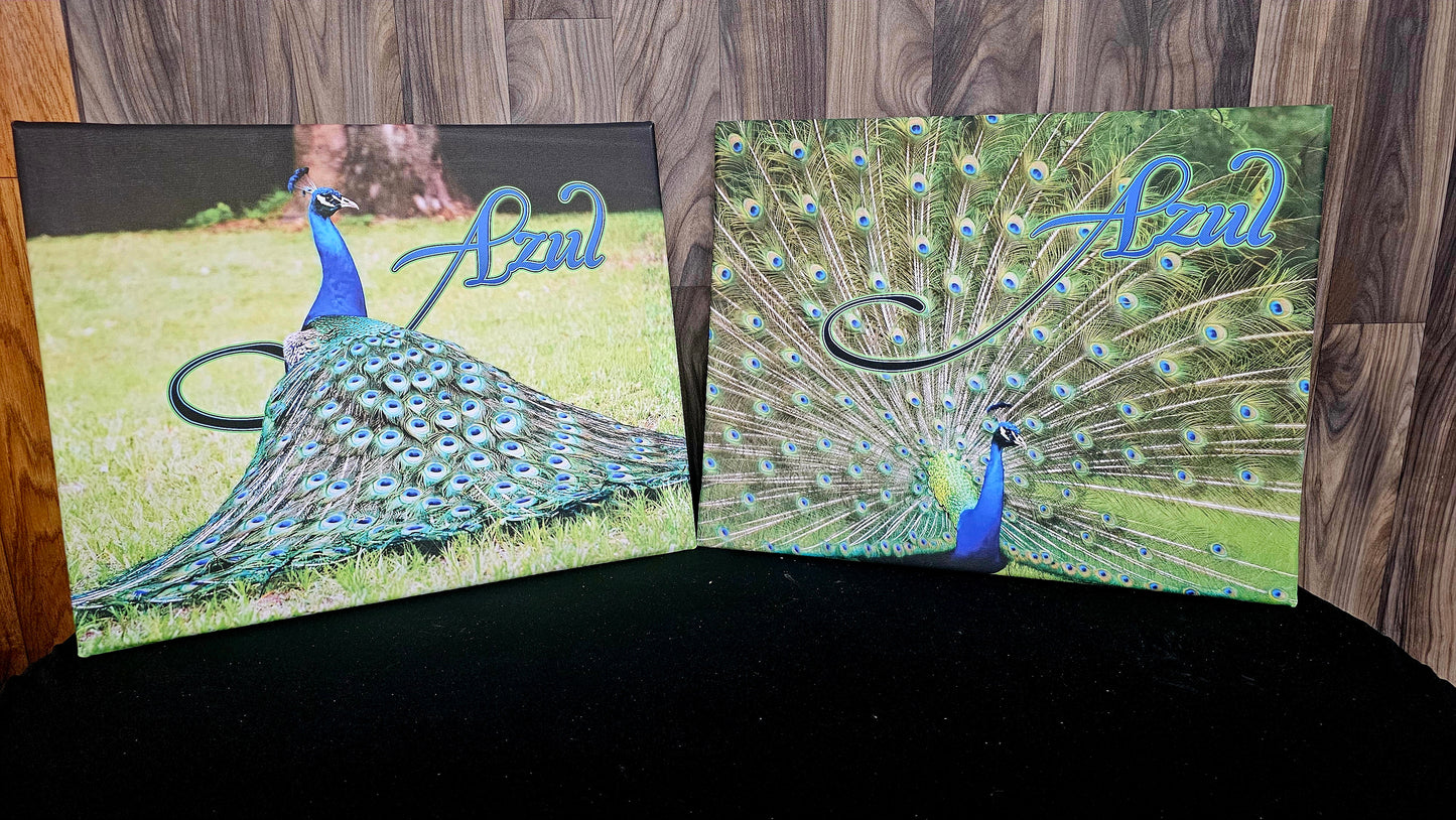 Canvas Prints