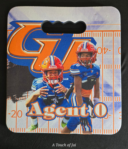 Stadium Cushion